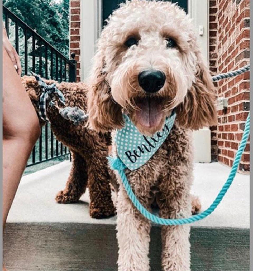 ROPE LEASH - PASTEL RAINBOW