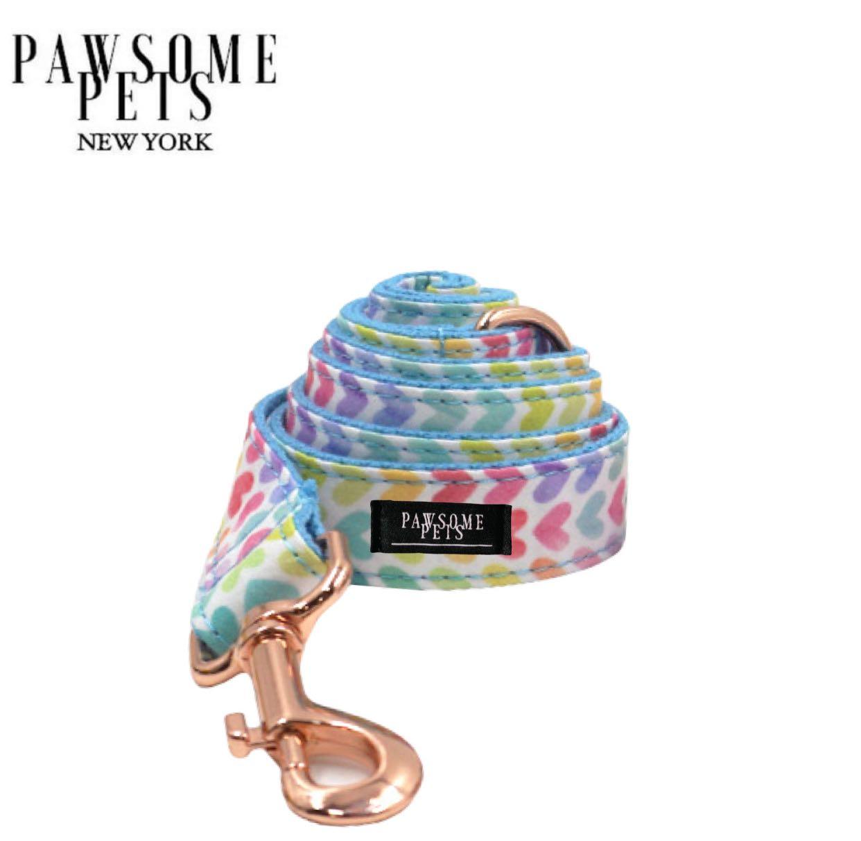 LEASH - RAINBOW - BLUE - GOLD-0