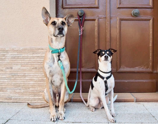 ROPE LEASH - BRIDGETTE-1