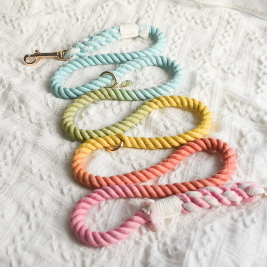 ROPE LEASH - SWEET LOLLIE