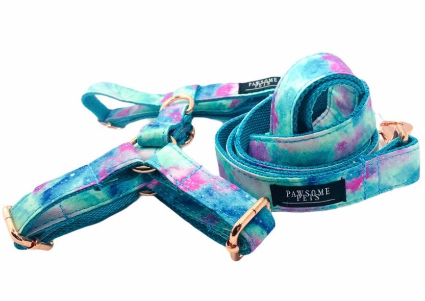 STEP IN HARNESS - SKY
