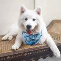 BANDANA - OCEAN BLUE