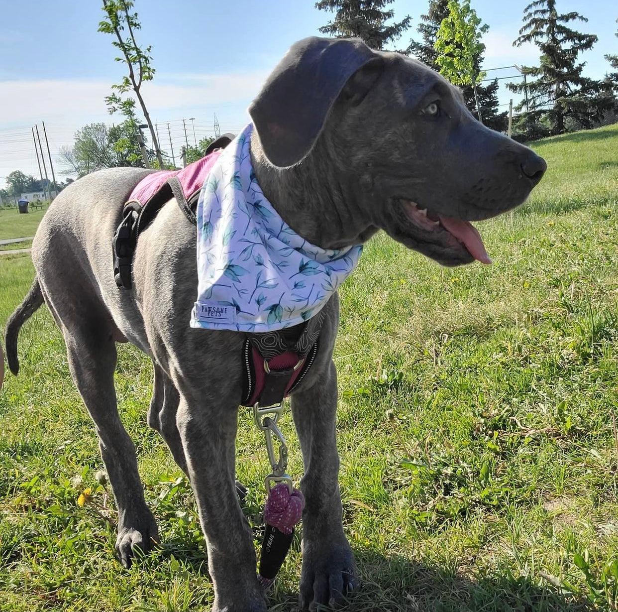 BANDANA - LEAF