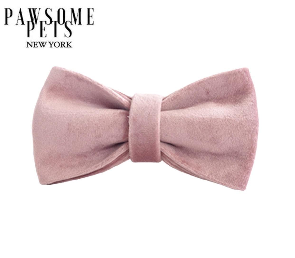 BOWTIE - FLORENCE