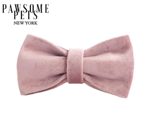 BOWTIE - FLORENCE