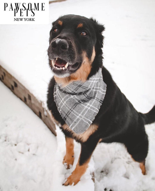 BANDANA - RAINER