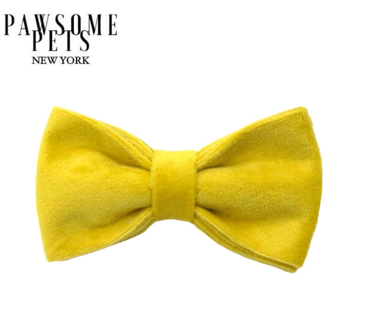 BOWTIE - BRIGHT YELLOW