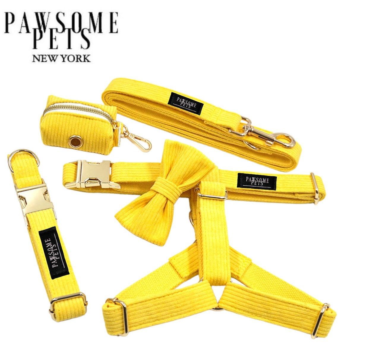 STEP IN BUNDLE - BRIGHT YELLOW (5 PIECES)