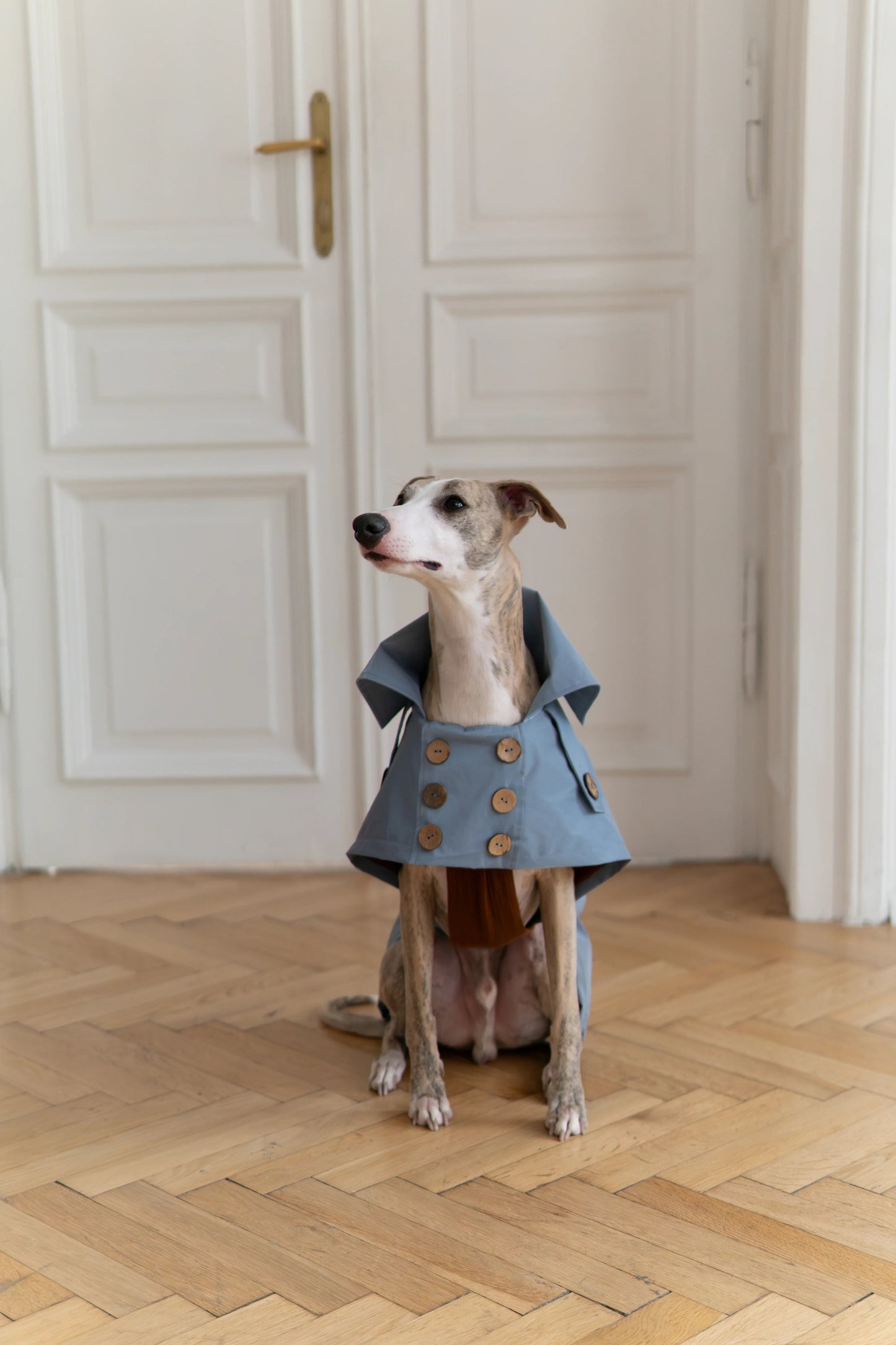 The Manhattan Trench Coat - Light Blue