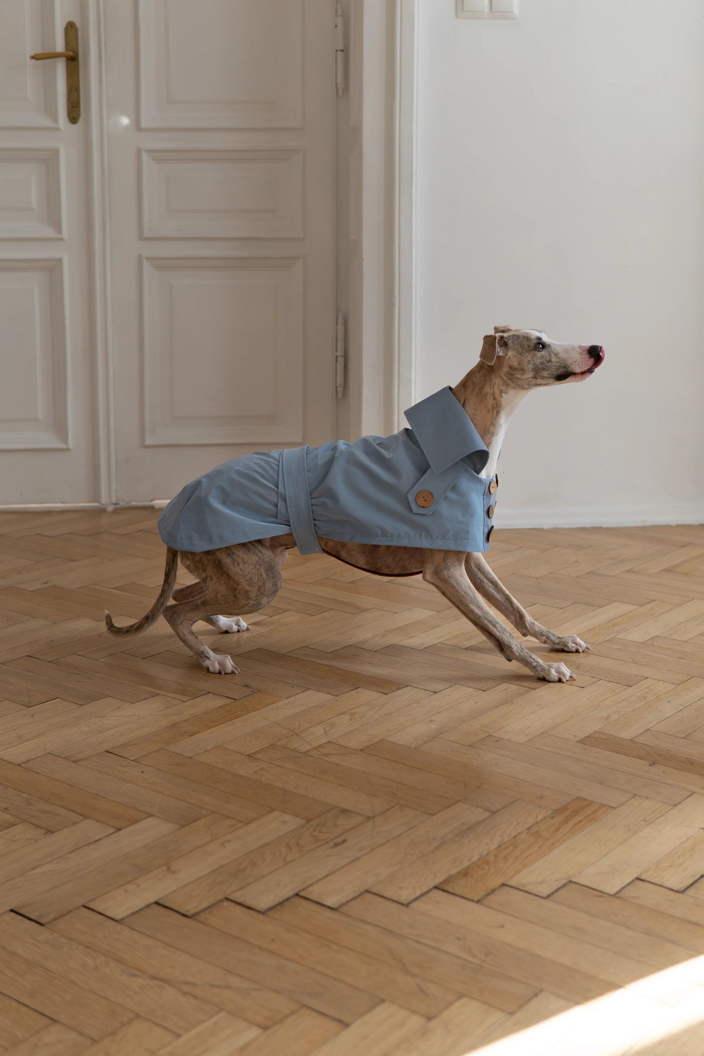 The Manhattan Trench Coat - Light Blue