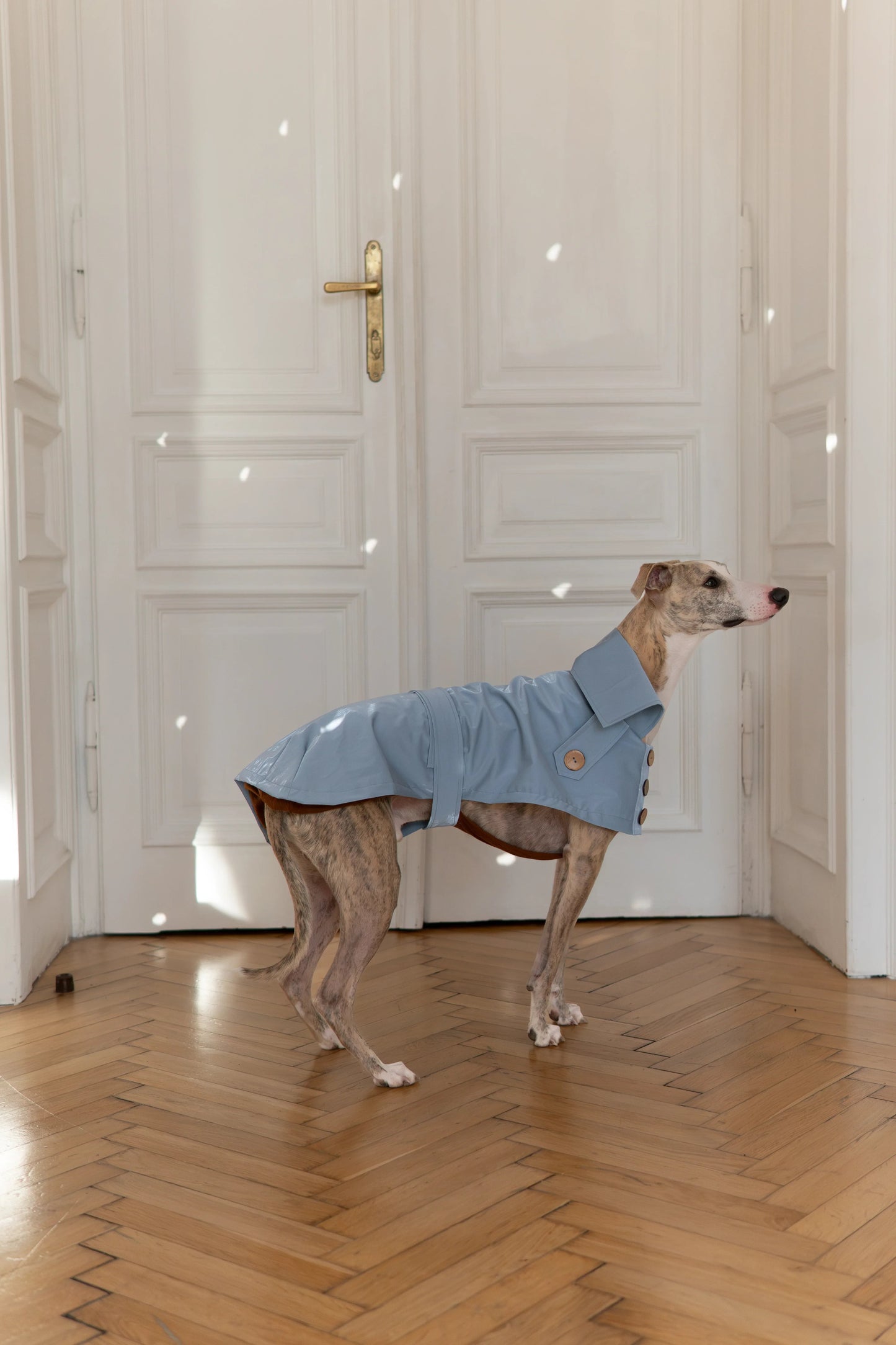 The Manhattan Trench Coat - Light Blue