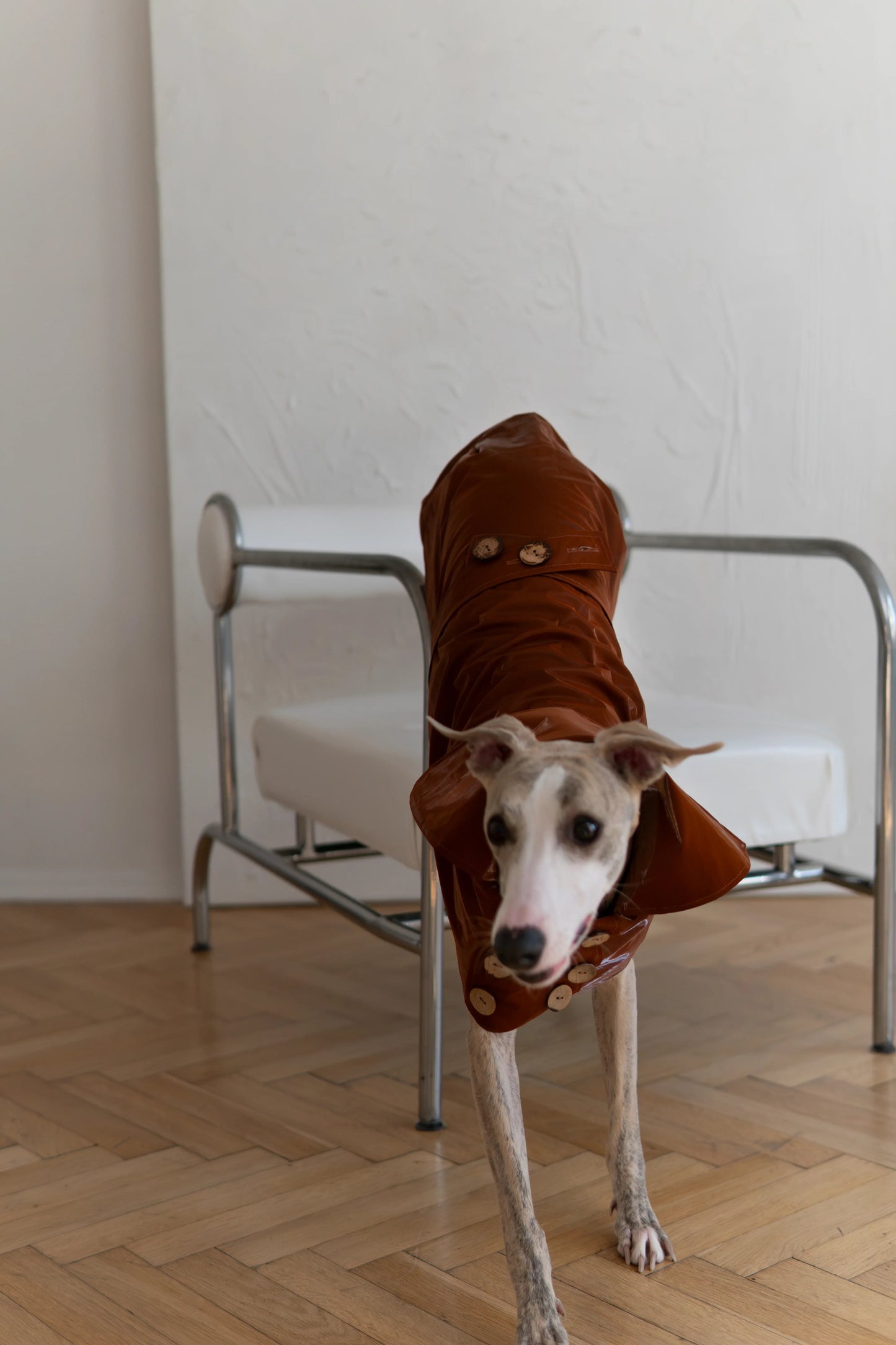 The Chelsea Trench Coat - Chocolate Brown