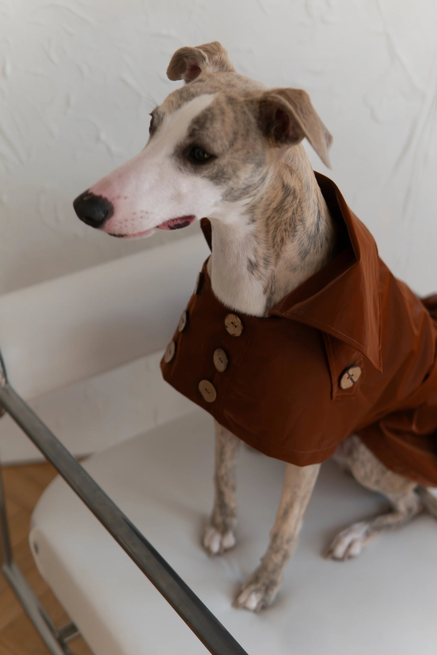 The Chelsea Trench Coat - Chocolate Brown