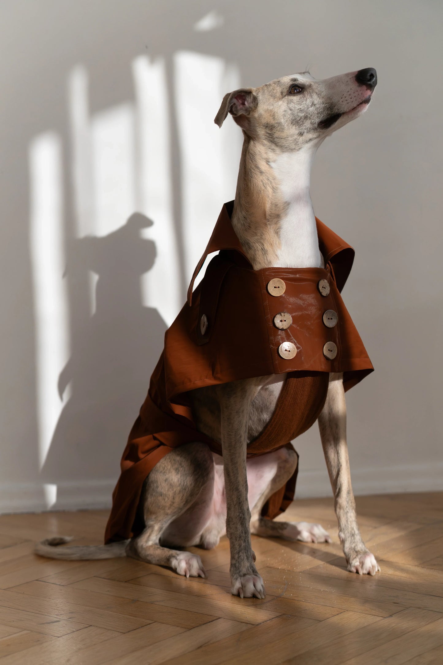 The Chelsea Trench Coat - Chocolate Brown