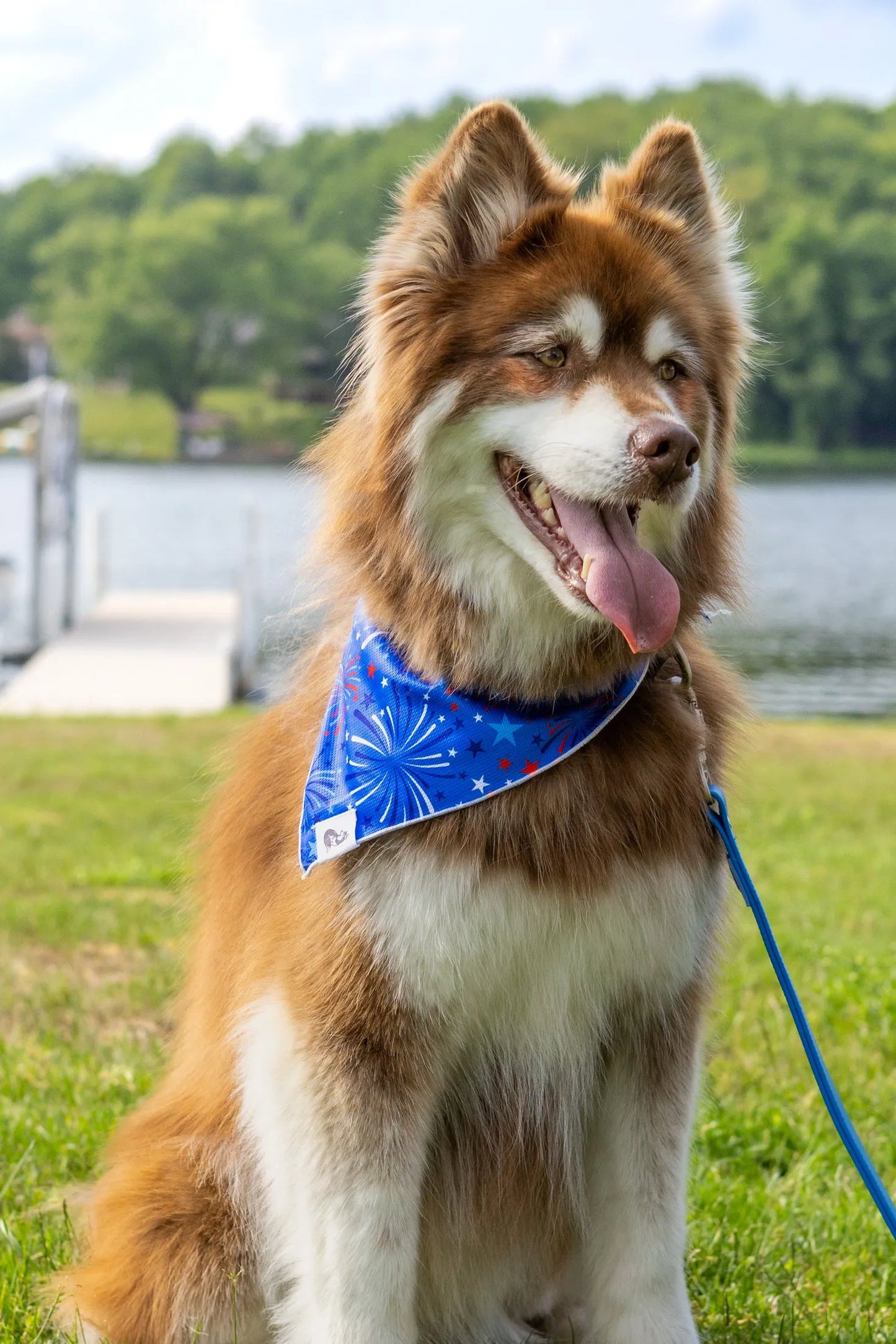 The Rodeo Drive Patriot Bandana