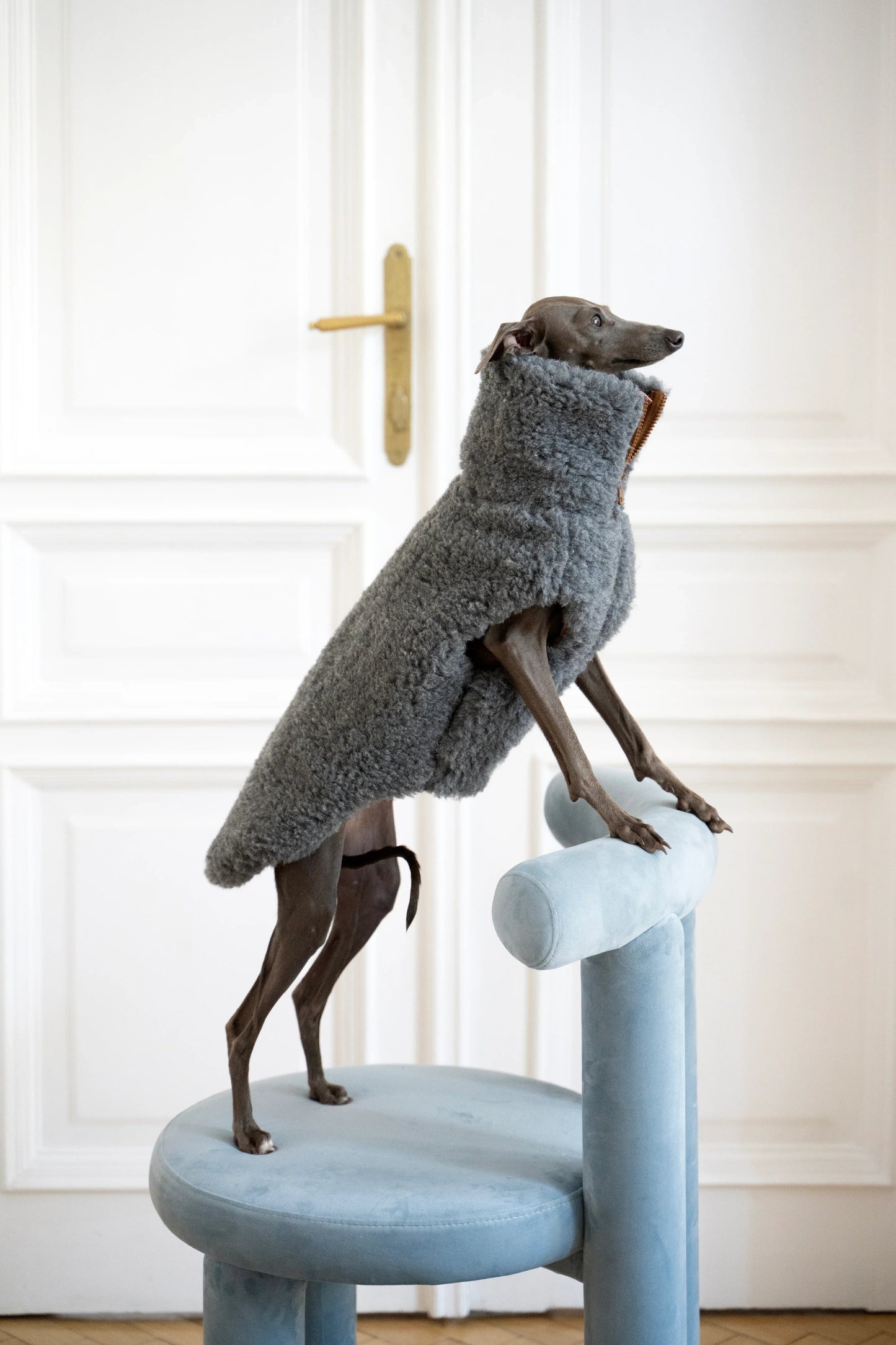 The Wynwood Woolen Vest - Dark Grey