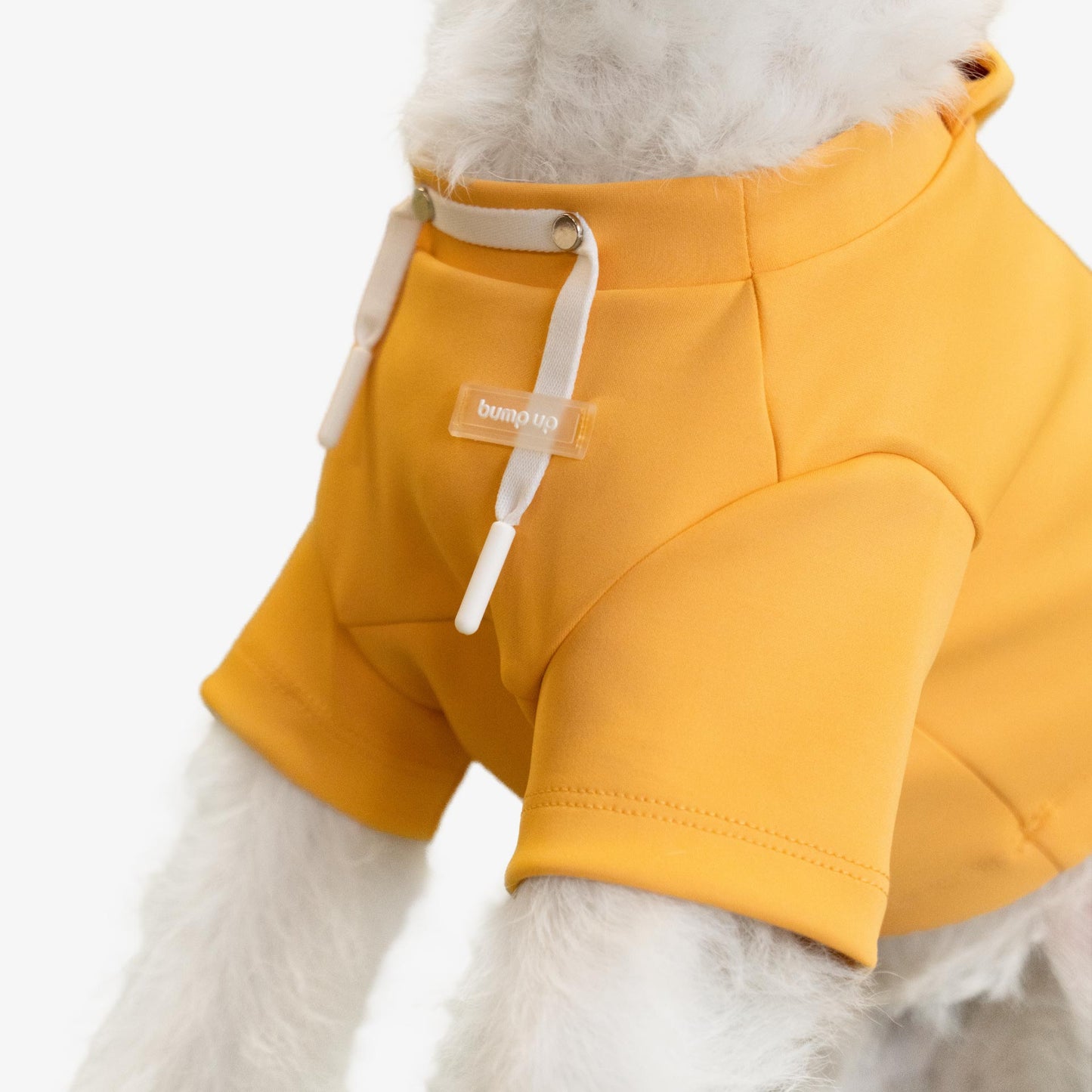 Crop Hoodie